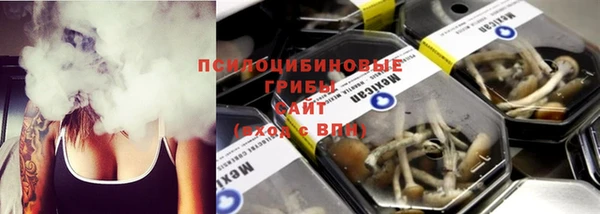 дживик Верхний Тагил