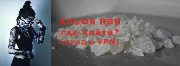дживик Верхний Тагил