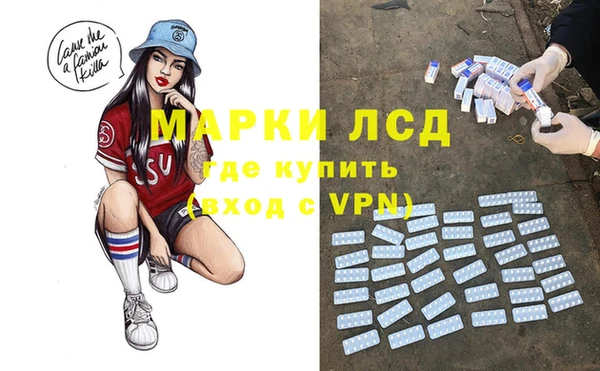 дживик Верхний Тагил