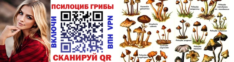 Псилоцибиновые грибы MAGIC MUSHROOMS  Выборг 